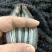 【精品】淡干海参干参刺参辽参大量现货全规格，质量有保证
