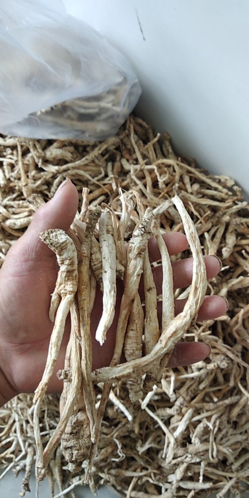 贵州铜仁野生无硫生鲜南沙参干品泡酒煲汤滋补价廉物美