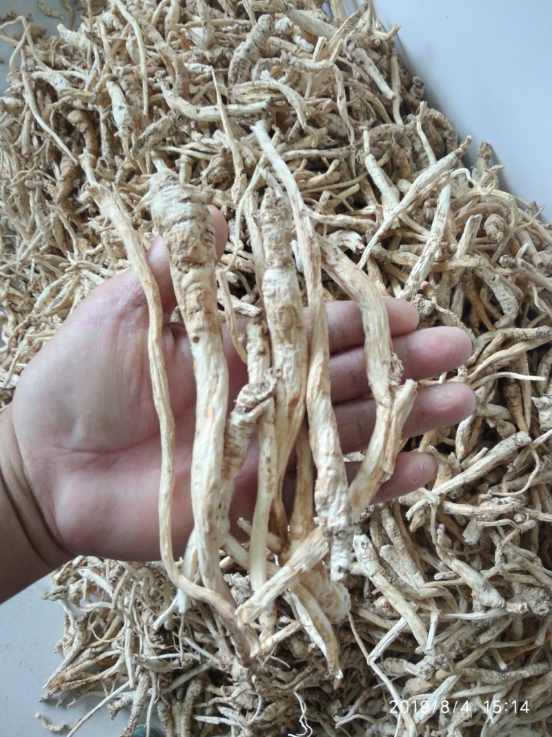 贵州铜仁野生无硫生鲜南沙参干品泡酒煲汤滋补价廉物美