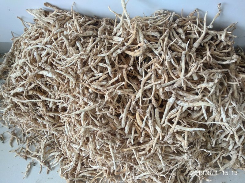 贵州铜仁野生无硫生鲜南沙参干品泡酒煲汤滋补价廉物美