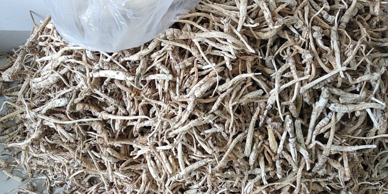 贵州铜仁野生无硫生鲜南沙参干品泡酒煲汤滋补价廉物美