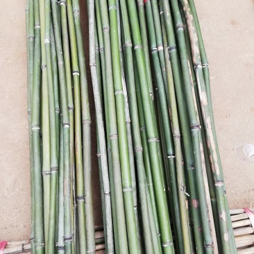 大量批发各种规格的竹竿，有豆角杆，山药杆，冬瓜架条等等！