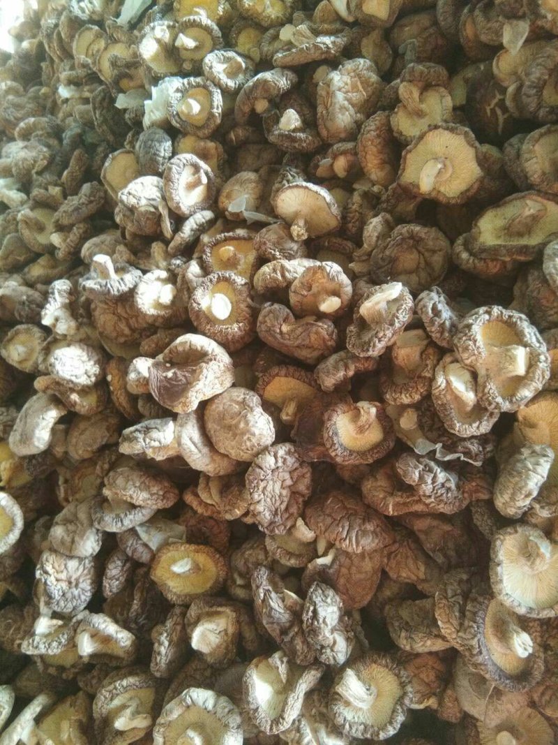 产区直销各种规格干香菇，形好肉厚，颜色漂亮，香味浓，
