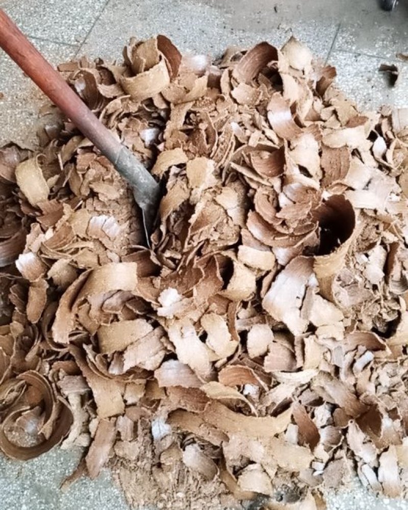 油菜籽，菜籽饼（自提）