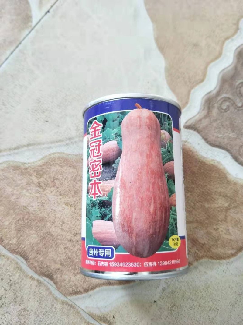 蜜本南瓜4~10斤以上长条形