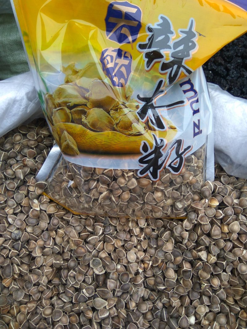 辣木籽颗粒饱满无硫新货各种中药材各种规格