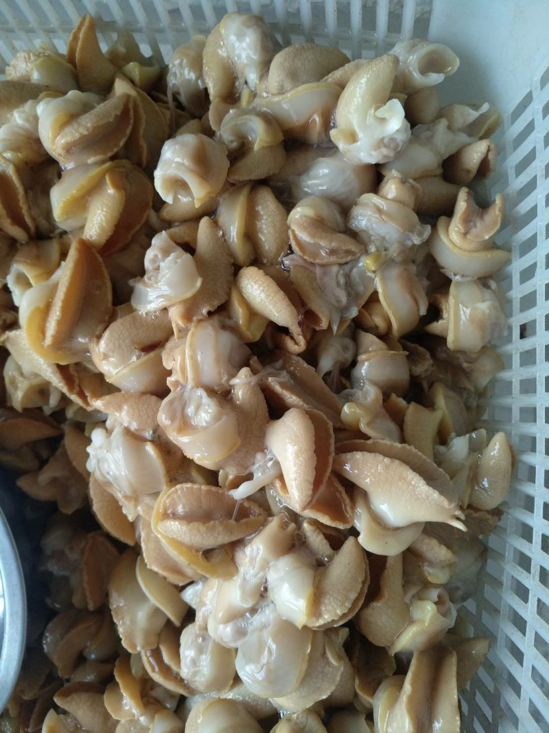 白玉蜗牛活体、带壳冷冻、冻肉、宠物蜗牛