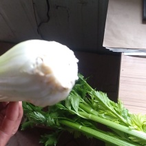 芹菜
