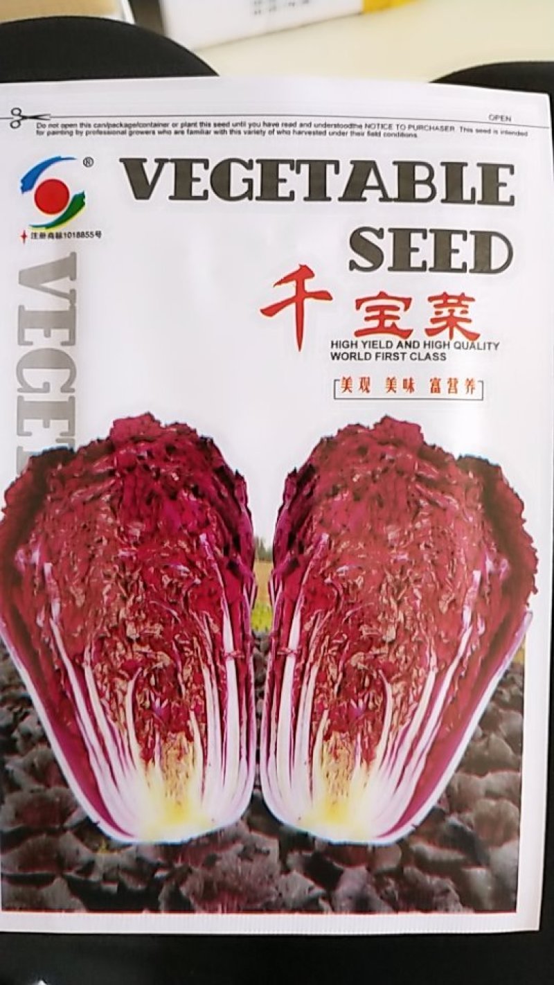【有好货】紫色大白菜千宝菜种子