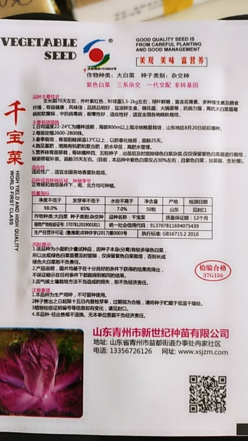 【有好货】紫色大白菜千宝菜种子