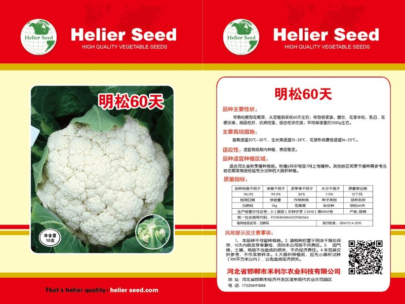 精品明松60天白松花菜高产品质强进口商品好