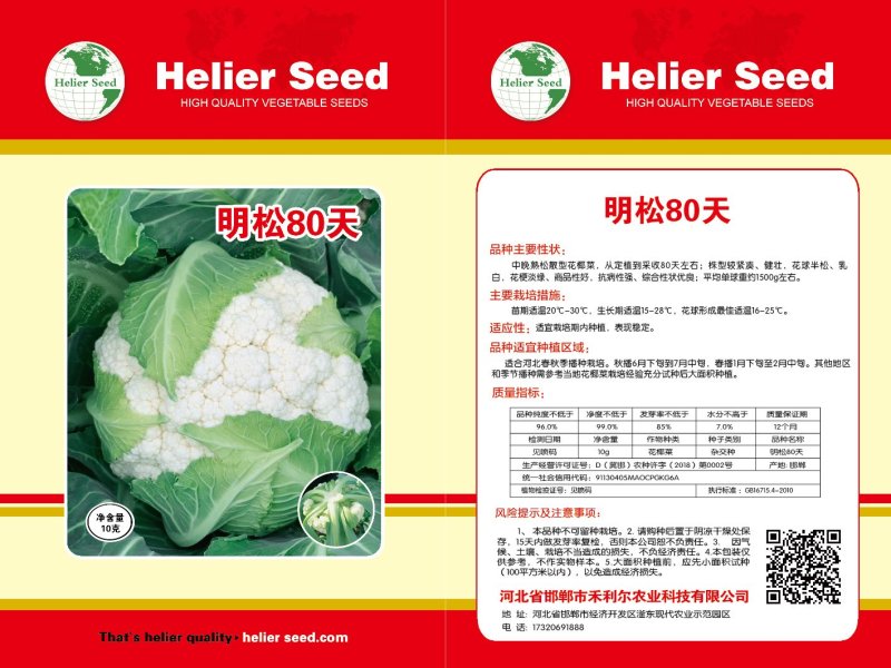 禾利尔80天松花菜种子抗病早熟白面青梗高端