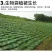 护坡生态袋园林绿化草种草籽袋长丝土工布无纺布袋河道工程