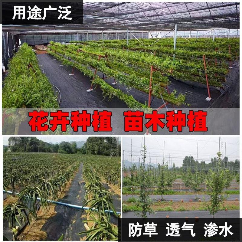切片打孔除草布遮草布生态防草布果树农用盖草布抗晒保湿透气