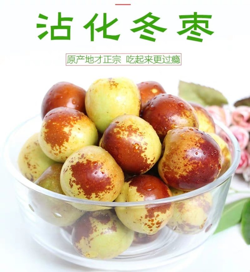 沾化冬枣原产地直发