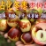 沾化冬枣树苗包邮产量高易管理品种保证包成活