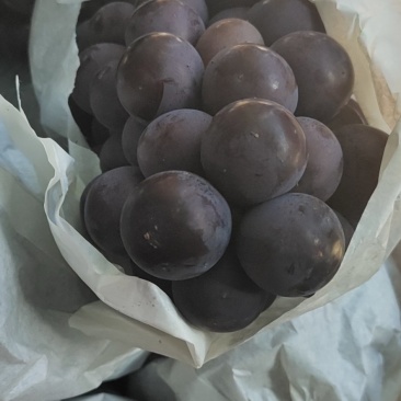 巨峰葡萄