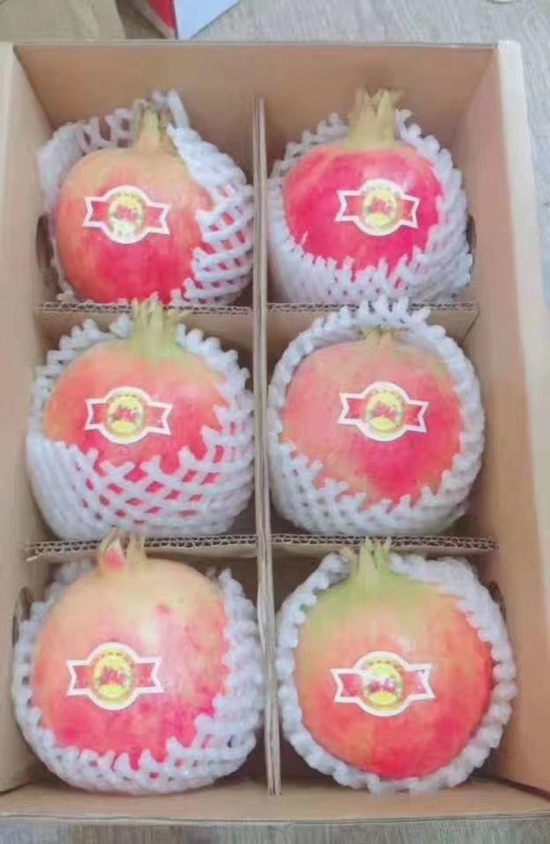 会理突尼斯石榴，