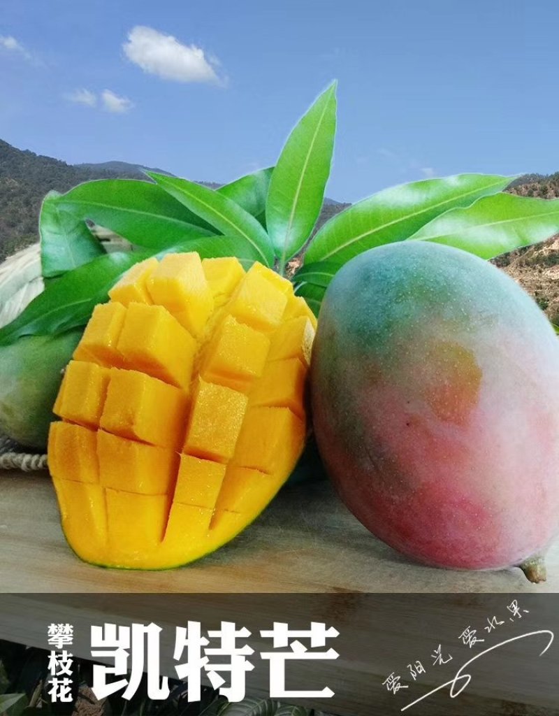 热带水果