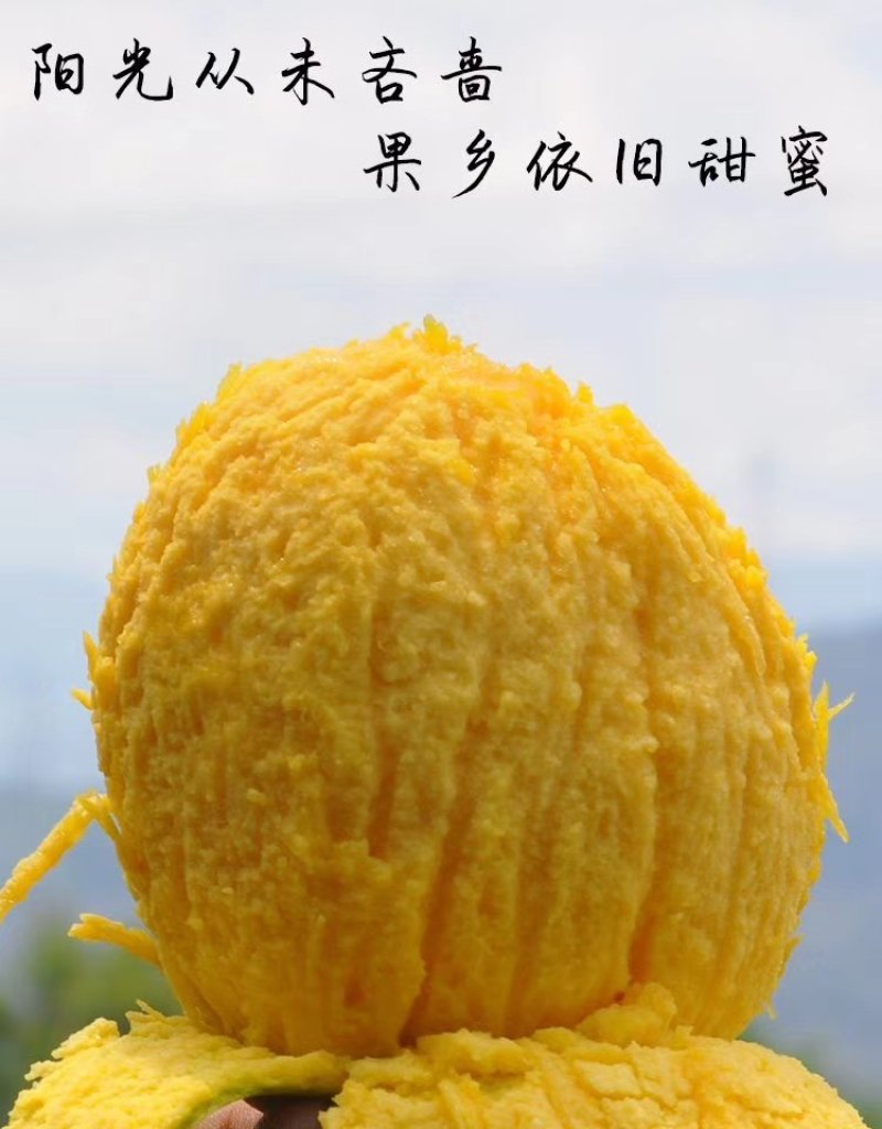 热带水果