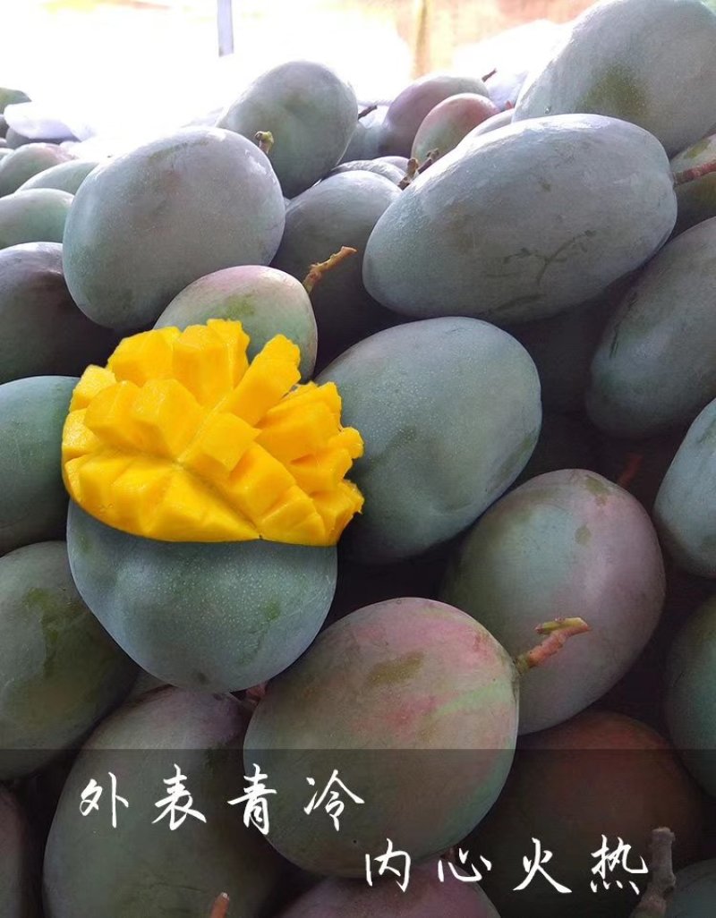 热带水果