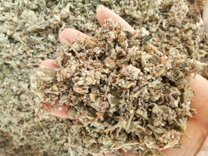 密蒙花四川（正品）无硫干净无杂一公斤起