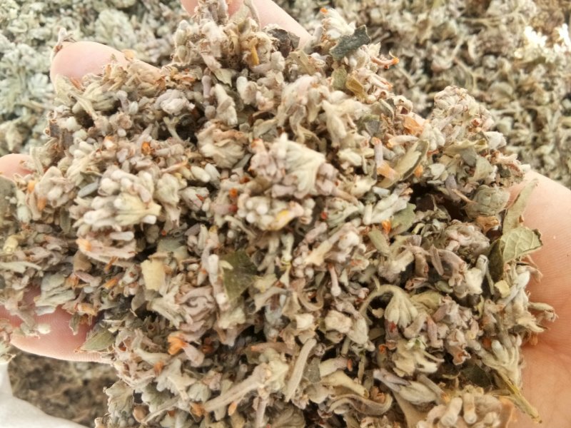 密蒙花四川（正品）无硫干净无杂一公斤起