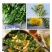 蒲公英干野菜药食同源梅干菜