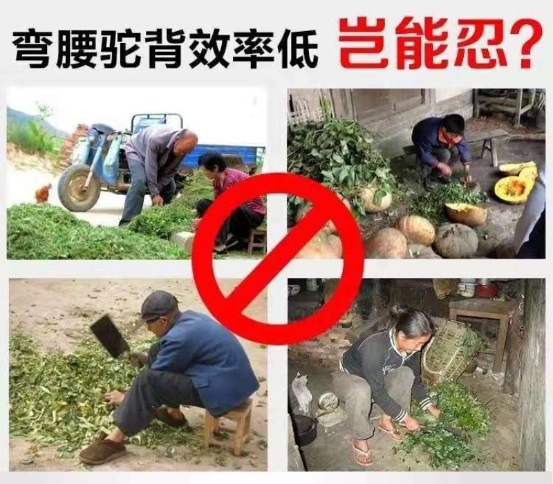 电动切草机碎草机小型家用220v养殖牛羊铡草机粉碎机农