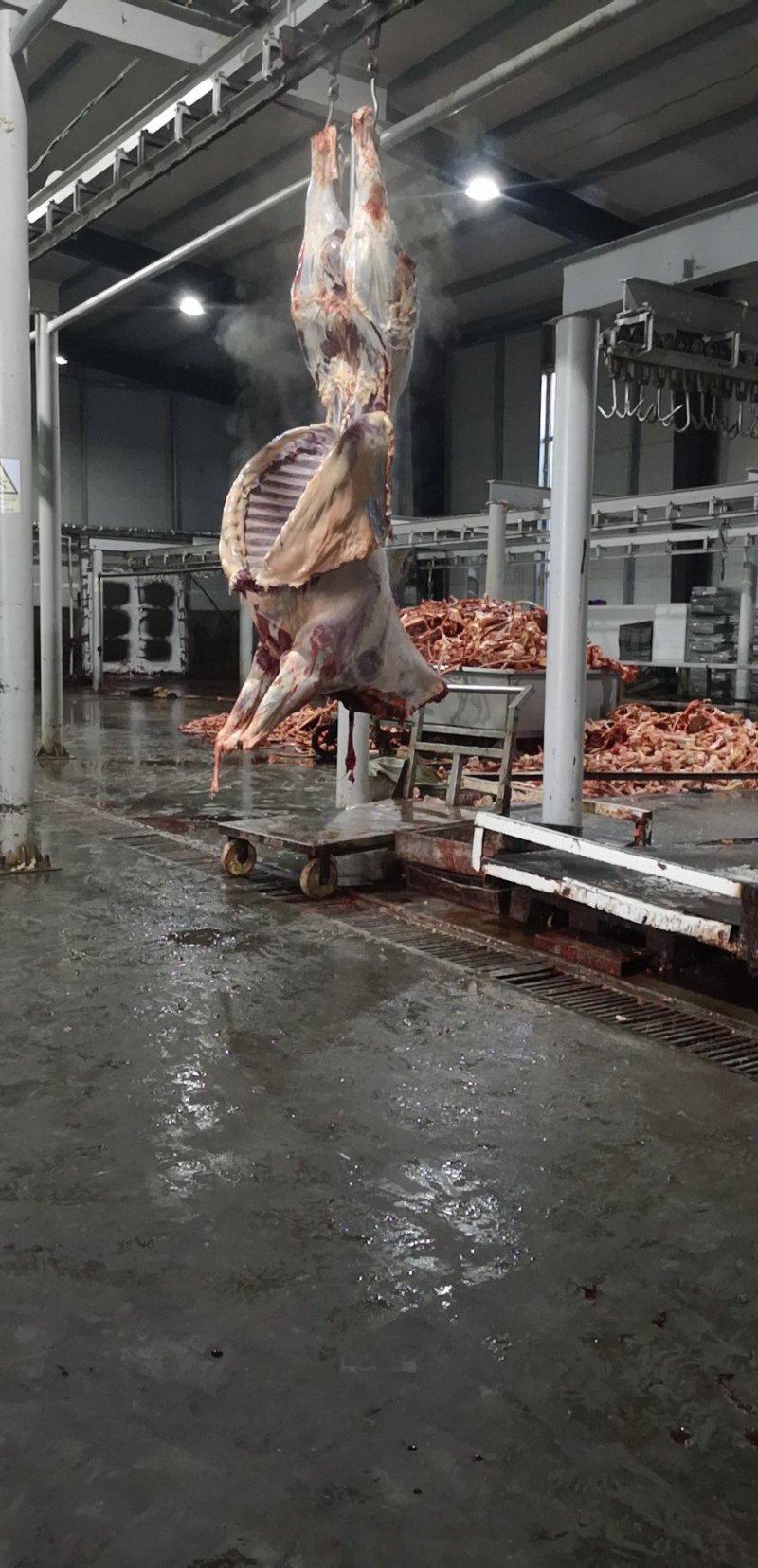 蒙古马肉