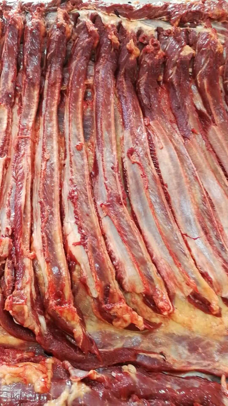 蒙古马肉