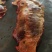 蒙古马肉