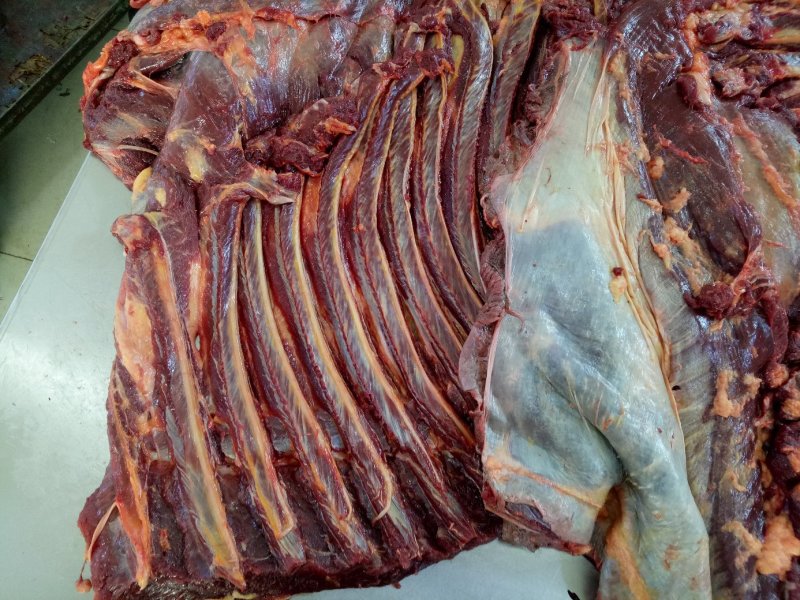 蒙古马肉