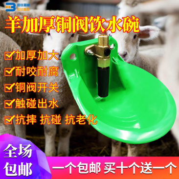 羊用饮水碗饮水槽铜阀自动饮水喝水器加厚牛羊饮水碗