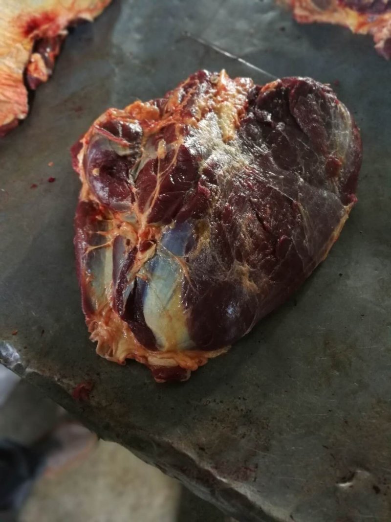 蒙古马肉