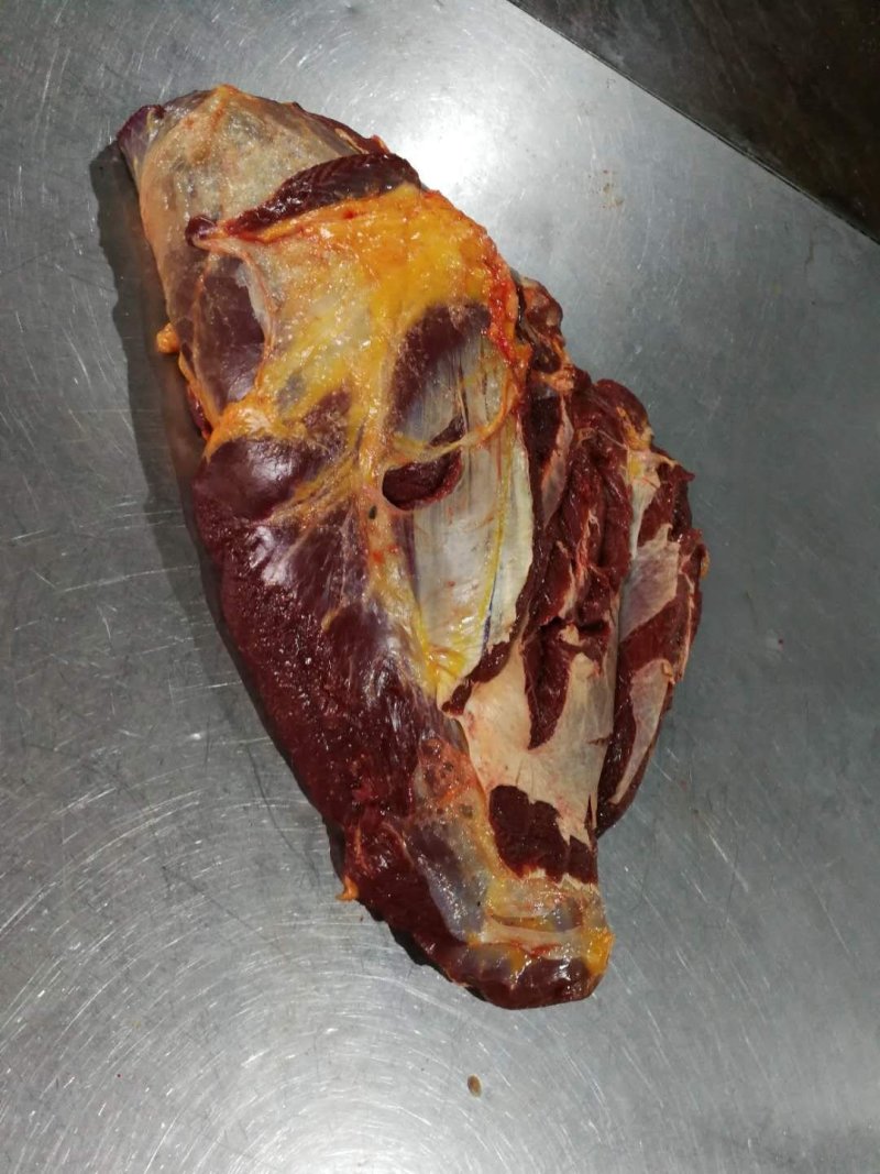 蒙古马肉