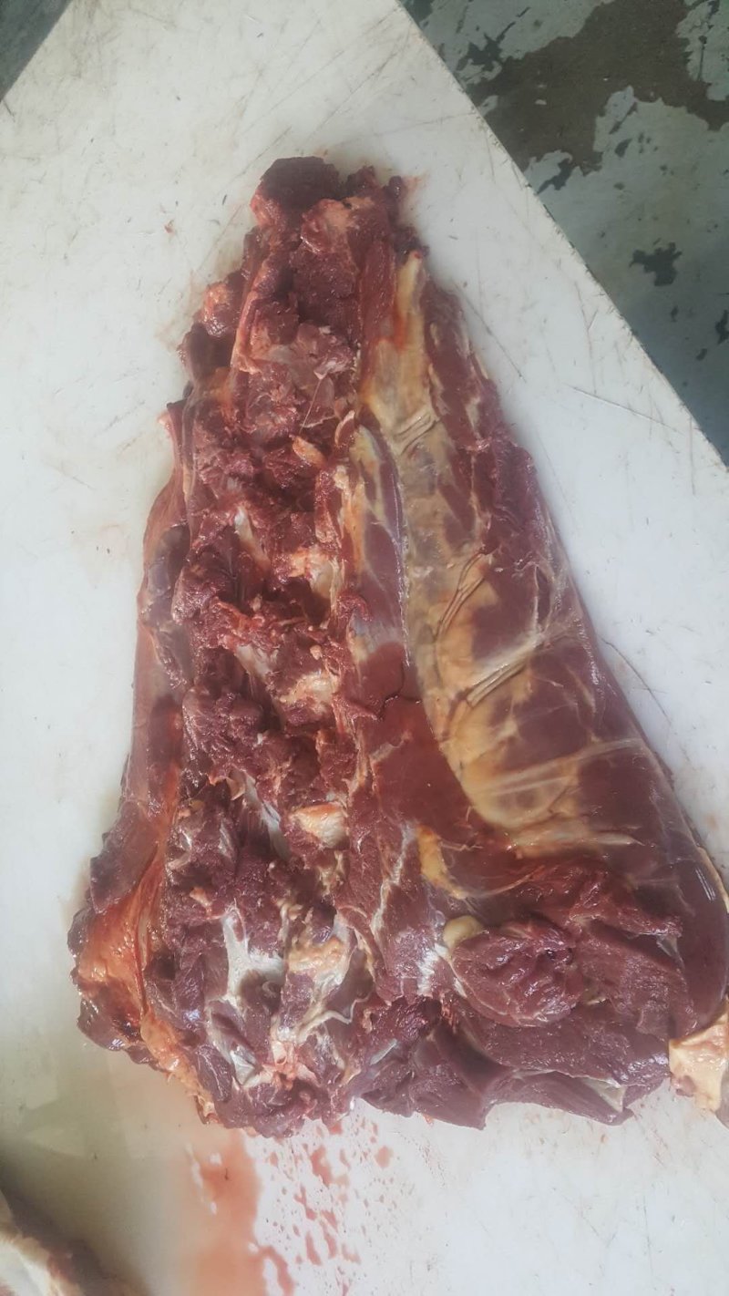 蒙古马肉
