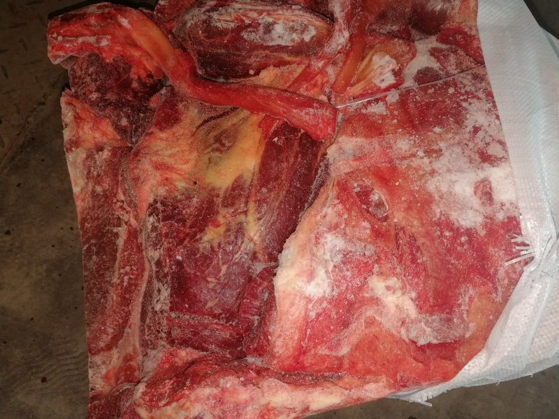 蒙古马肉