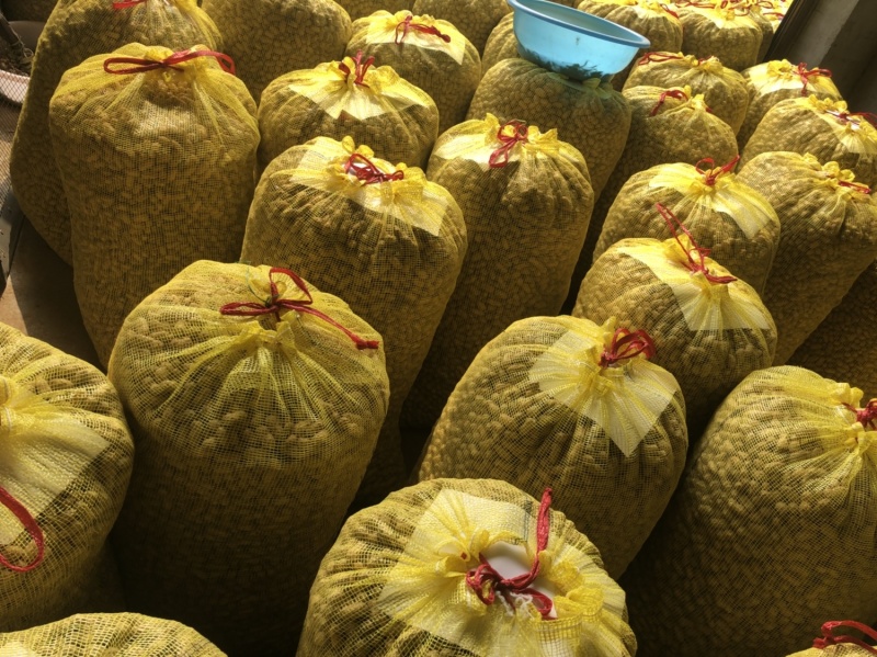 襄阳鲜花生小白沙精品带壳大量上市可供超市