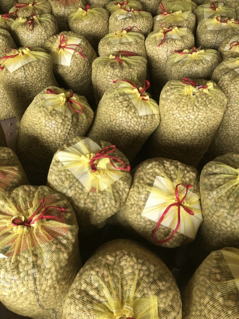 襄阳鲜花生小白沙精品带壳大量上市可供超市