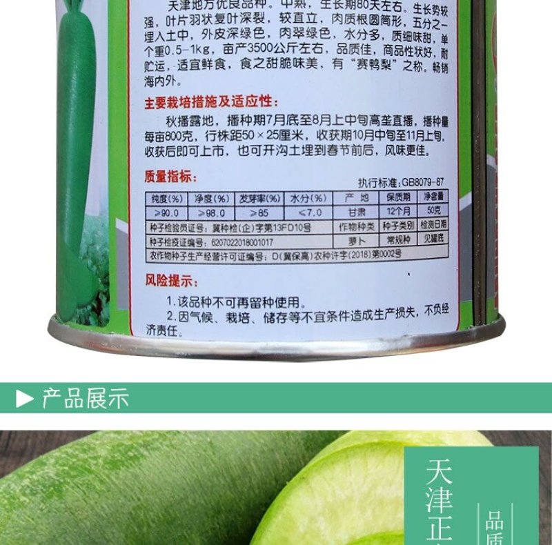 正宗天津沙窝萝卜种子青皮青肉水果萝卜种子甜脆味美