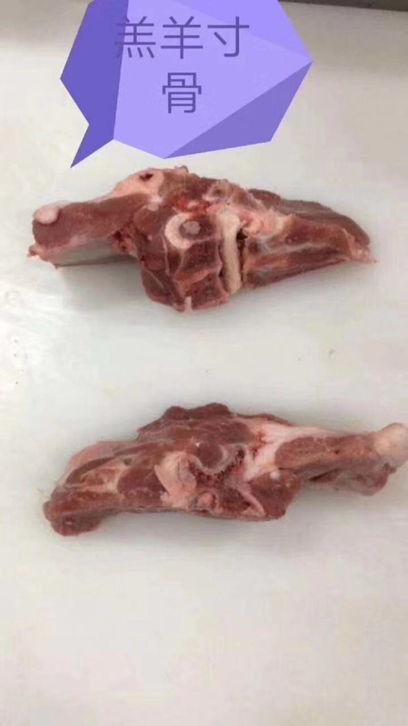 羔羊寸骨羊蝎子鲜货冷冻发货常年供应，可以对接全国