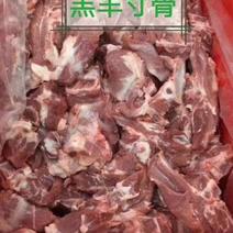 羔羊寸骨羊蝎子鲜货冷冻发货常年供应，可以对接全国