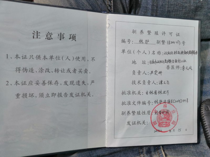 梅花鹿鲜鹿茸整只梅花鹿可以选图鲜鹿茸切连刀
