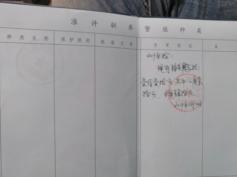 梅花鹿鲜鹿茸整只梅花鹿可以选图鲜鹿茸切连刀