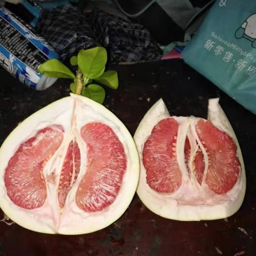 红心蜜柚