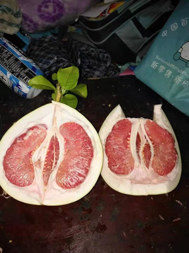 红心蜜柚