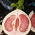 红心蜜柚