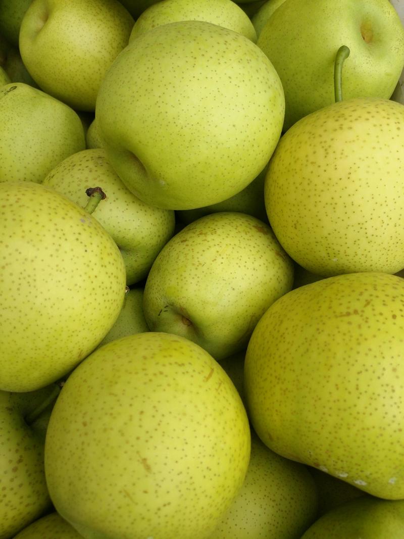 产地青黄冠梨大量上市，货源充足，果型端正口感脆甜全国代发