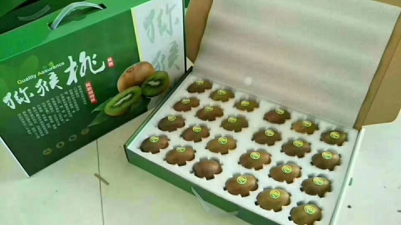 山东淄博博山源泉猕猴桃